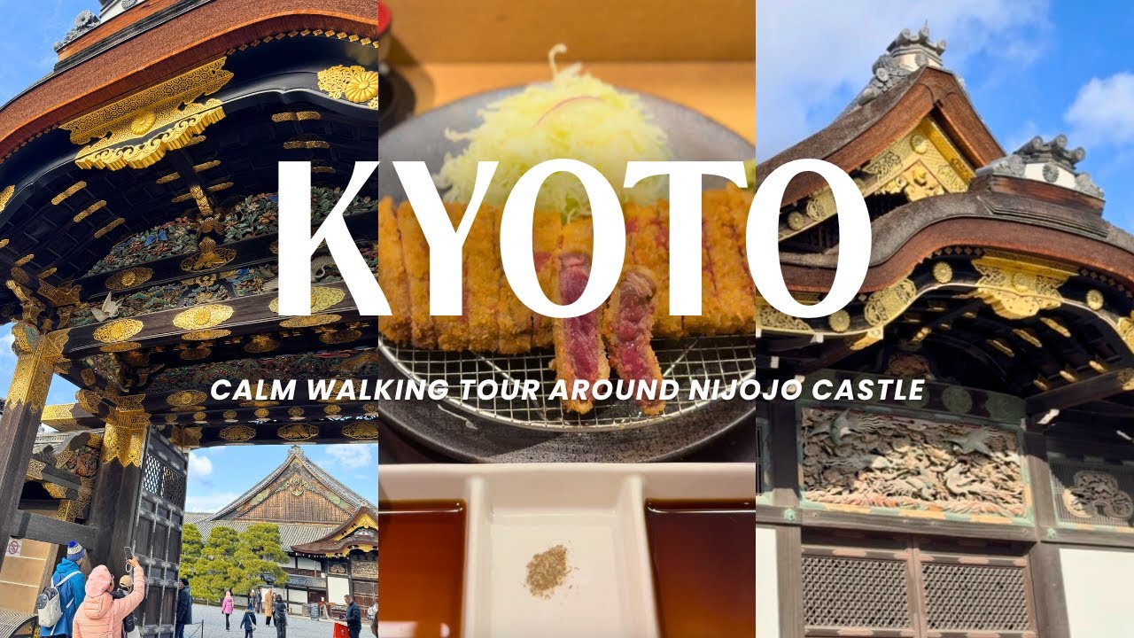 spent a calm, cold day at #Kyoto Nijo-jo Castle🧣🏯 trying famous gyukatsu + matcha making🍵| #京都 #二条城