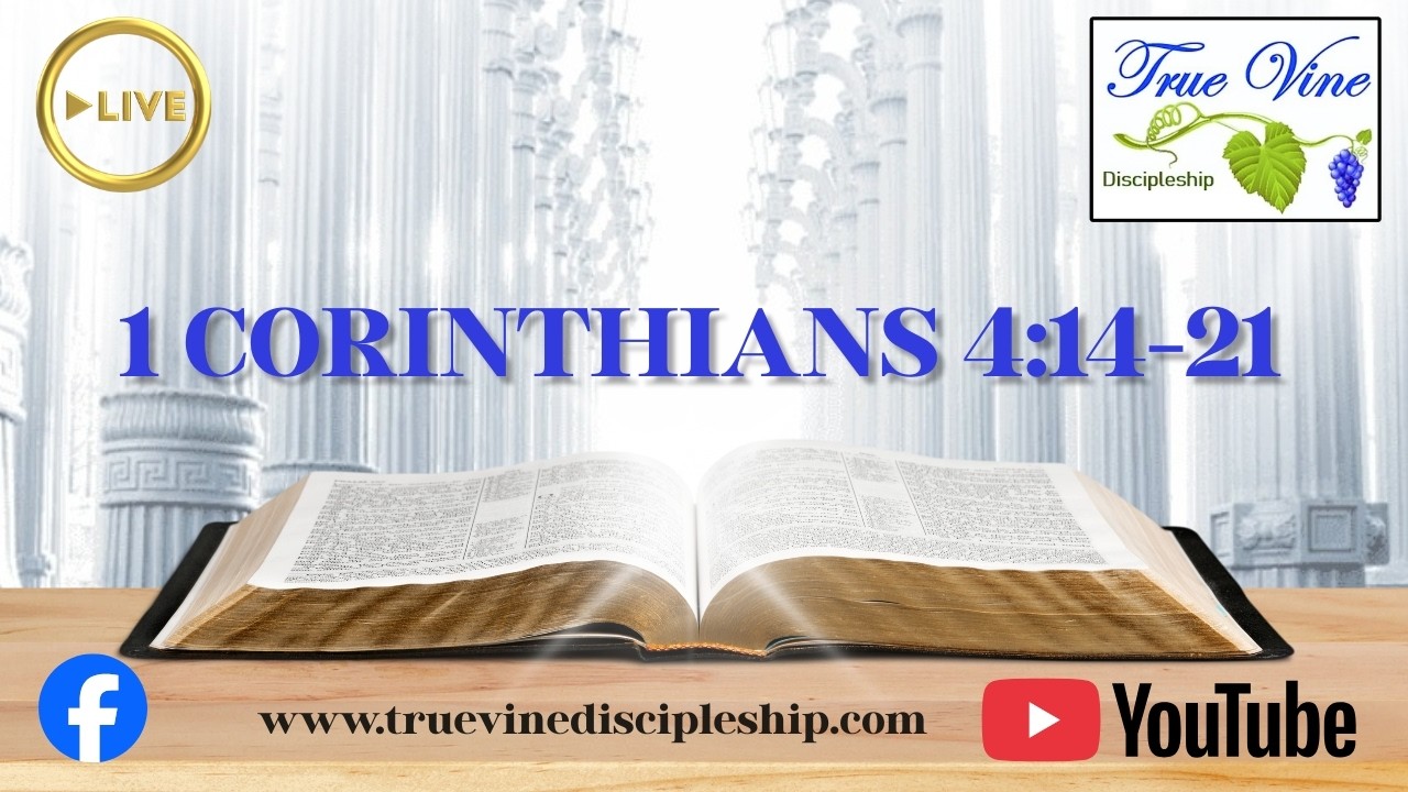 True Vine Discipleship Live Stream. 1 Corinthians Lesson 6.