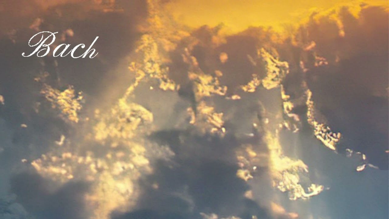 J. S. Bach | Music for Contemplating, Relaxing, Studying, Enjoying