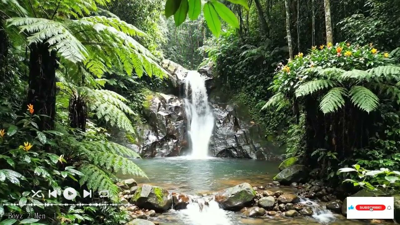 Sublime melody during the study with echoes of the past