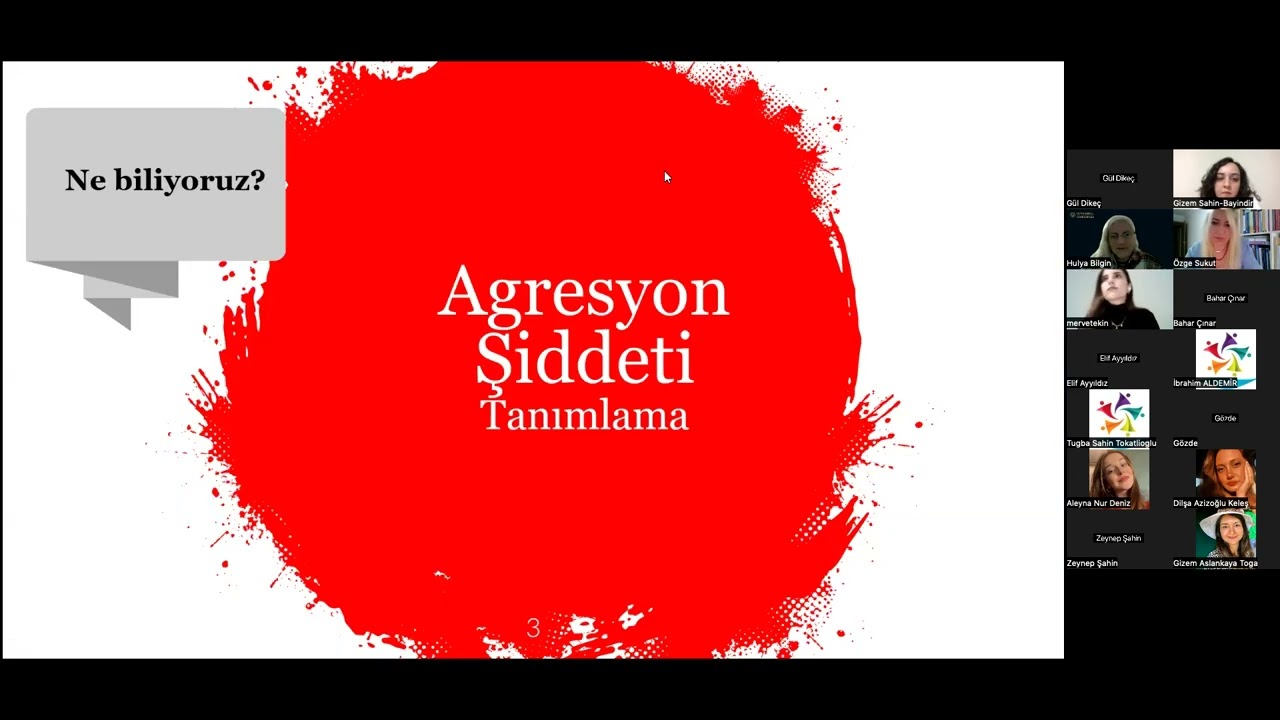 Psikiyatri Kliniklerinde Agresyon Yönetimi