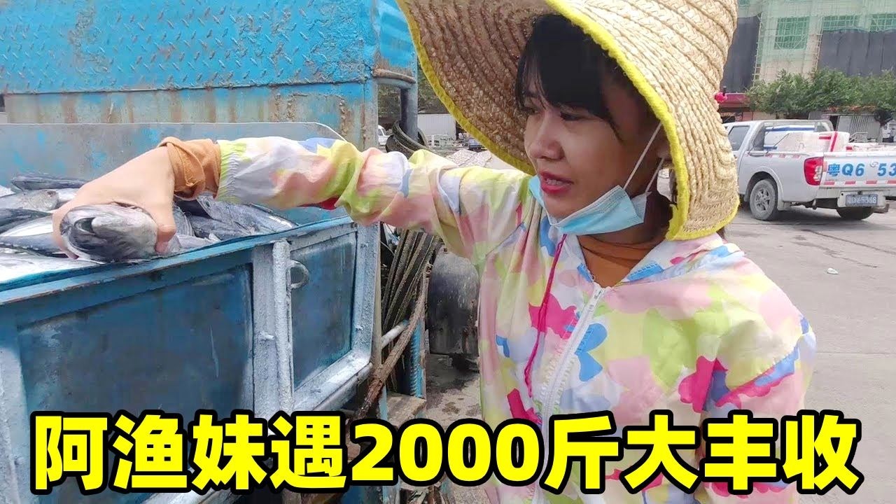 2000斤海鲜大丰收！阿渔妹被喊来帮忙，这场面太爽了！【阿渔妹】