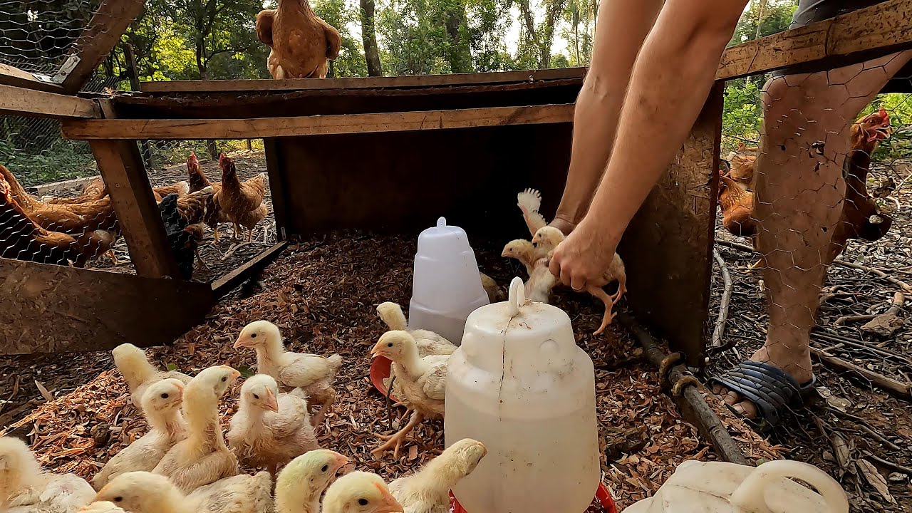 Segunda emergencia superada