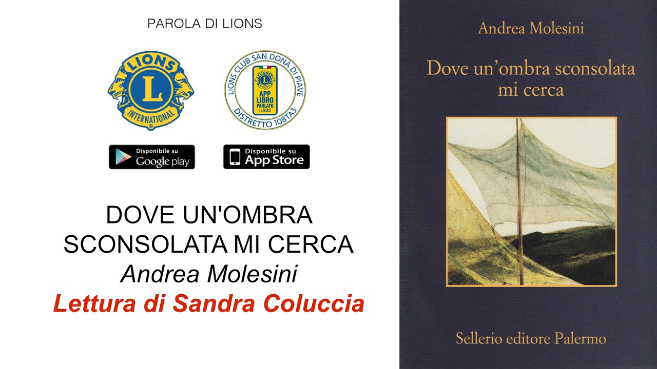 Dove un'ombra sconsolata mi cerca