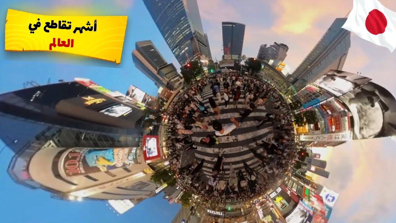 زرنا أغرب متحف وأشهر تقاطع في العالم | Tokyo like you haven't seen it