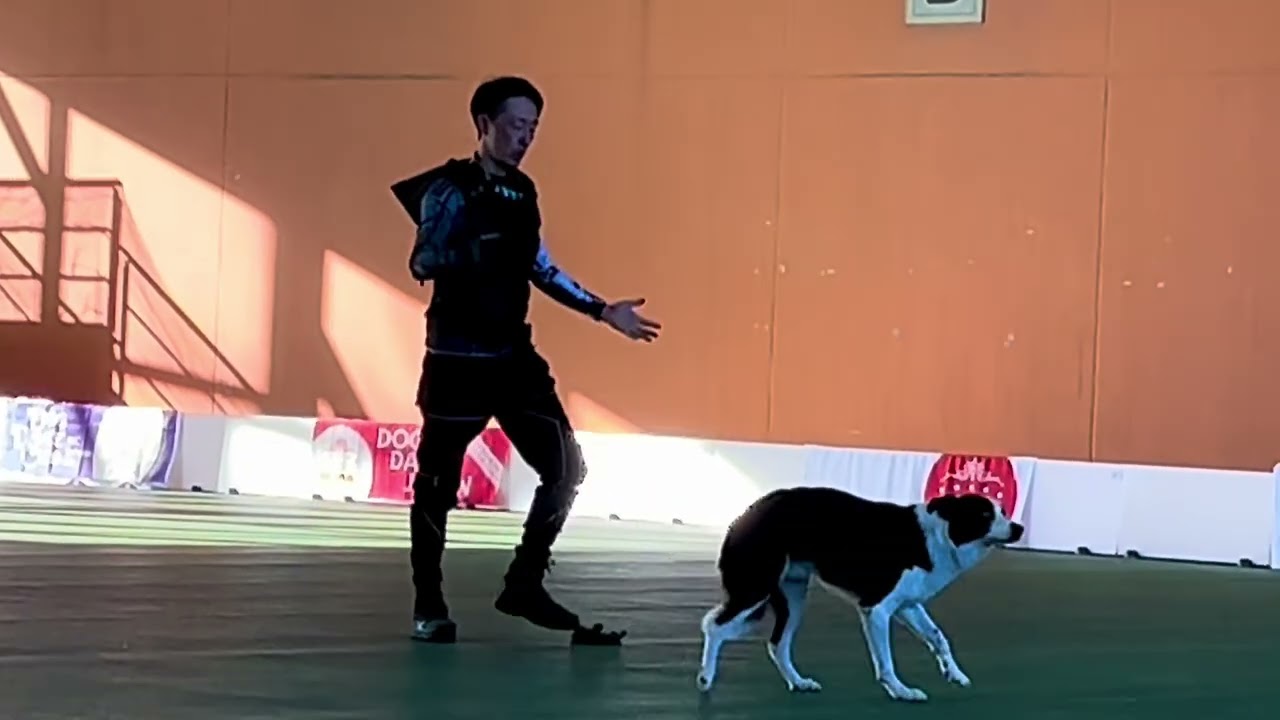 Sunny 20241109  freestyle advance class