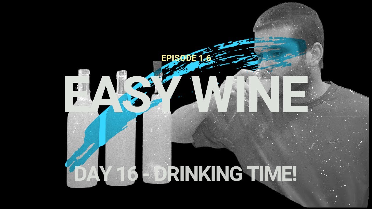 (EASY WINE EP 1.6)I FINALY Get to Try my Wine Made from Grocery Store Ingredients!
