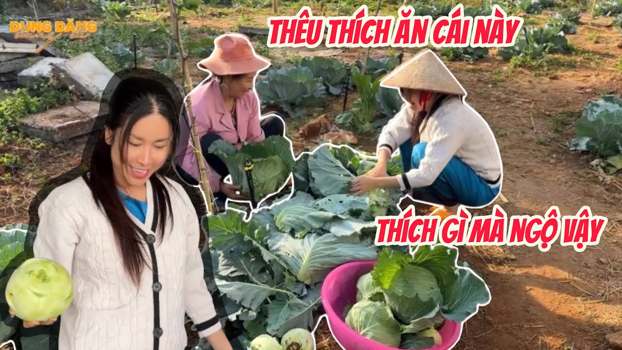 Về Đắk Nông thu hoạch chiến lợi phẩm, nhưng 4D làm Thêu Thân Thiện khóc thét khi được chia cái này