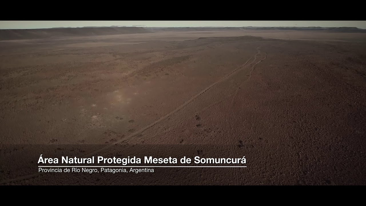 ANP MESETA DE SOMUNCURÁ | Parte 1 | CPCA UNRN