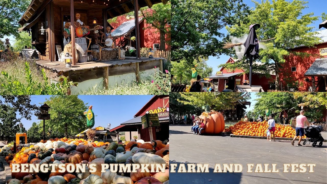 Bengtson's Pumpkin Farm and Fall Fest Illinois || Pumpkin Farms || TravelVille