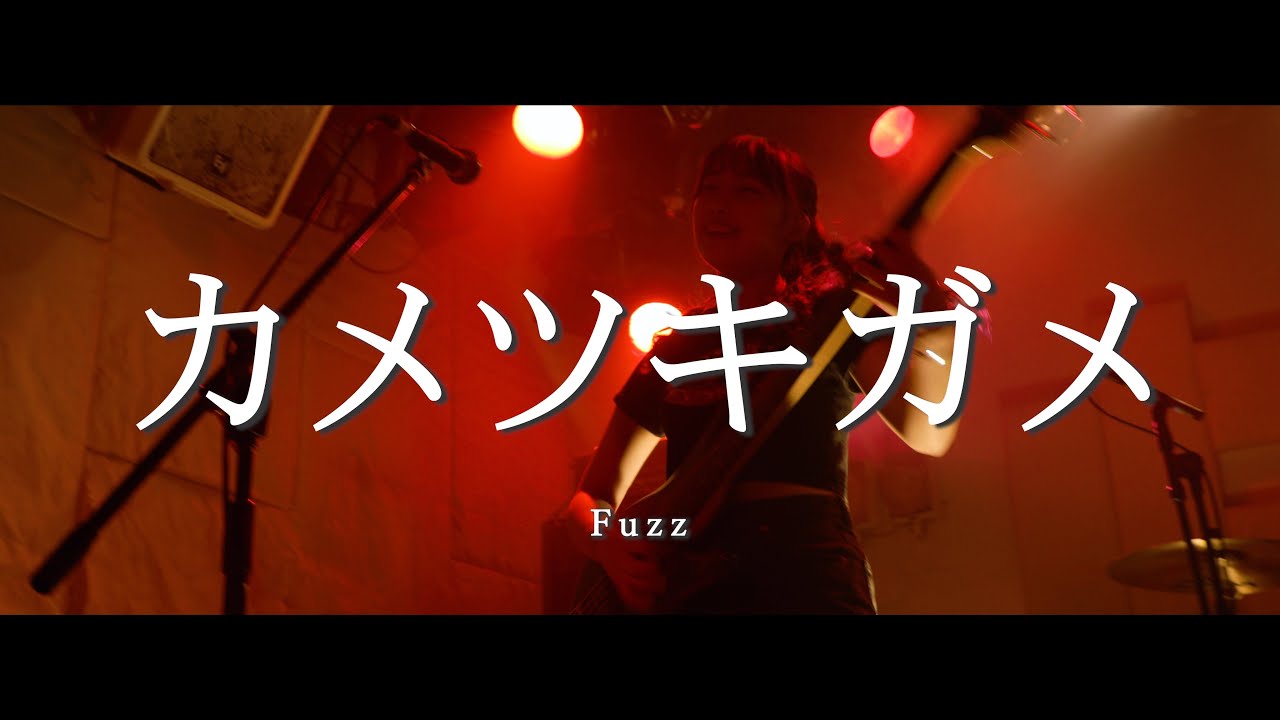 カメツキガメ - Fuzz（4K Live Video）