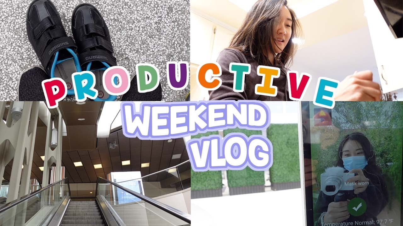 productive weekend vlog 🌱: lots of planning, cooking, money flower
