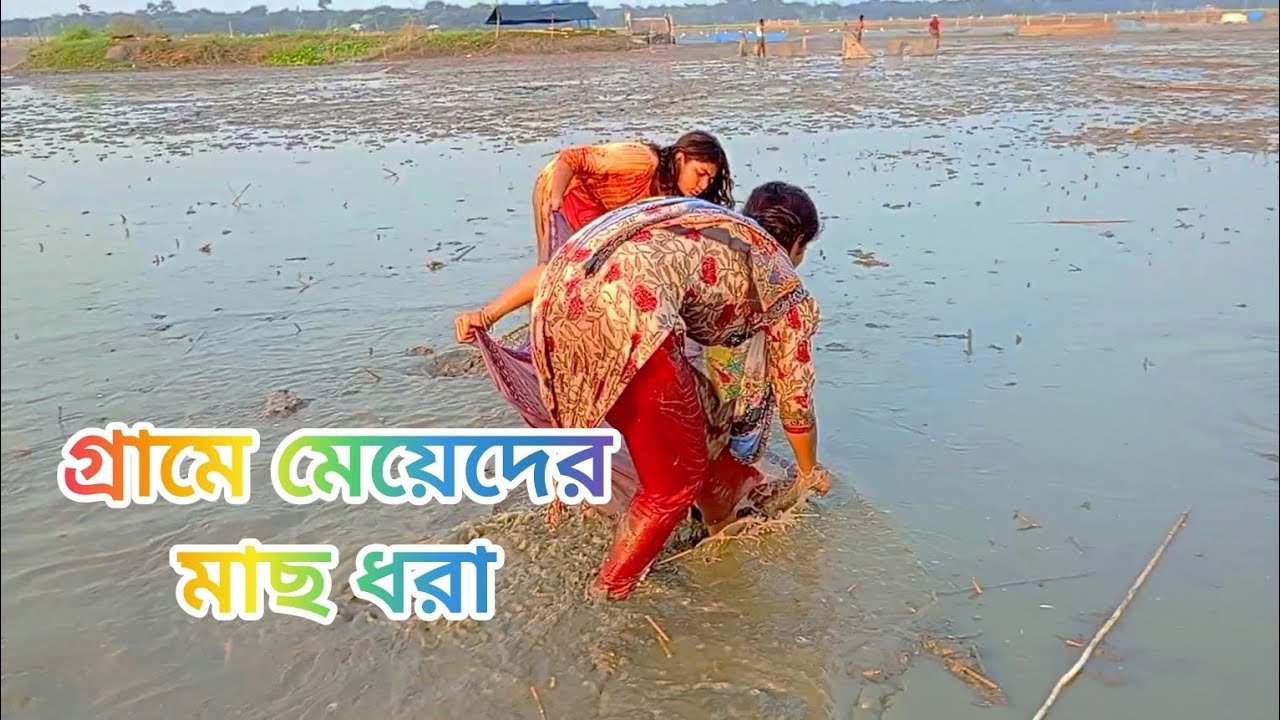 bill fishing video. গ্রামে মেয়েদের মাছ শিকার। 