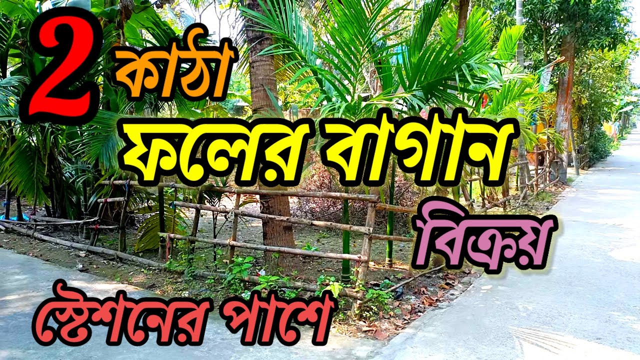 স্টেশন হেঁটে ৬ মিনিট , ছোট ফলের বাগান আর্জেন্ট বিক্রয় /very low price land sale.