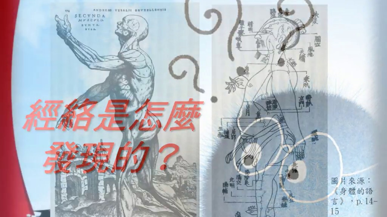 【醫學課程】中醫生理學 04 中醫解剖學：經絡學說與正經