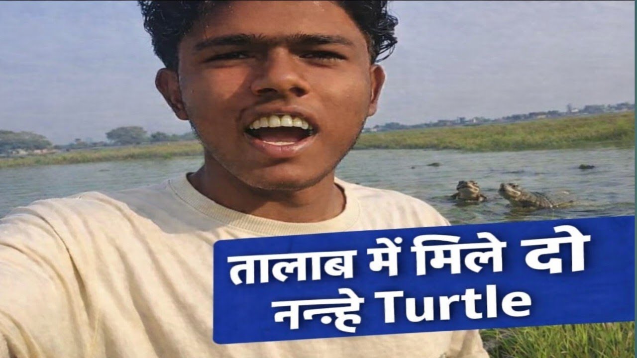 Talab mein mile do nanhe Se turtle 🐢