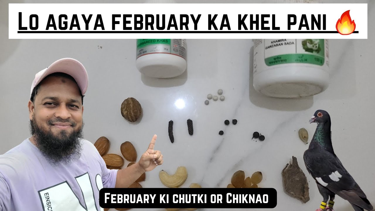 February Me Kabootar Doudane Ka Super Hit Khel Pani 🔥||@pigeonscarefactory5328