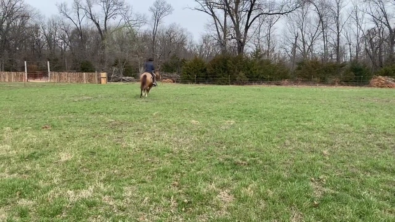 Hip 53