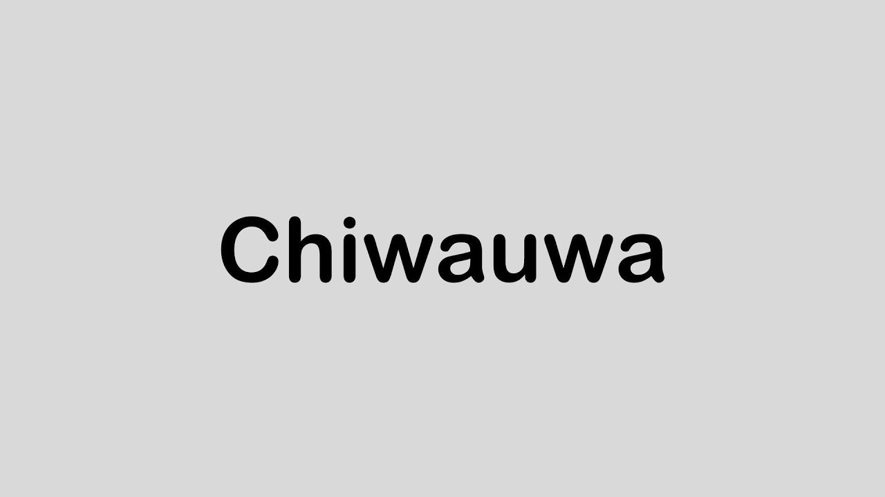 How to pronounce Chiwauwa.