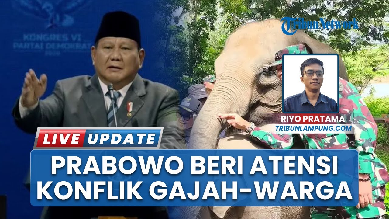 Gubernur Lampung Bahas Solusi Konflik Gajah Manusia di TN Way Kambas, Sebut Presiden Beri Perhatian