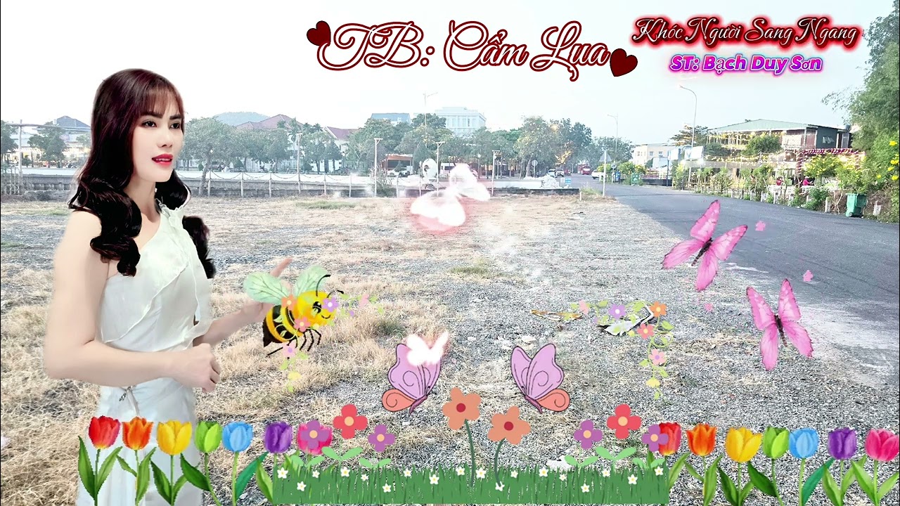 Khóc Người Sang Ngan ( ST: Bạch Duy Sơn) Trình Bài: Cẩm Lụa 
