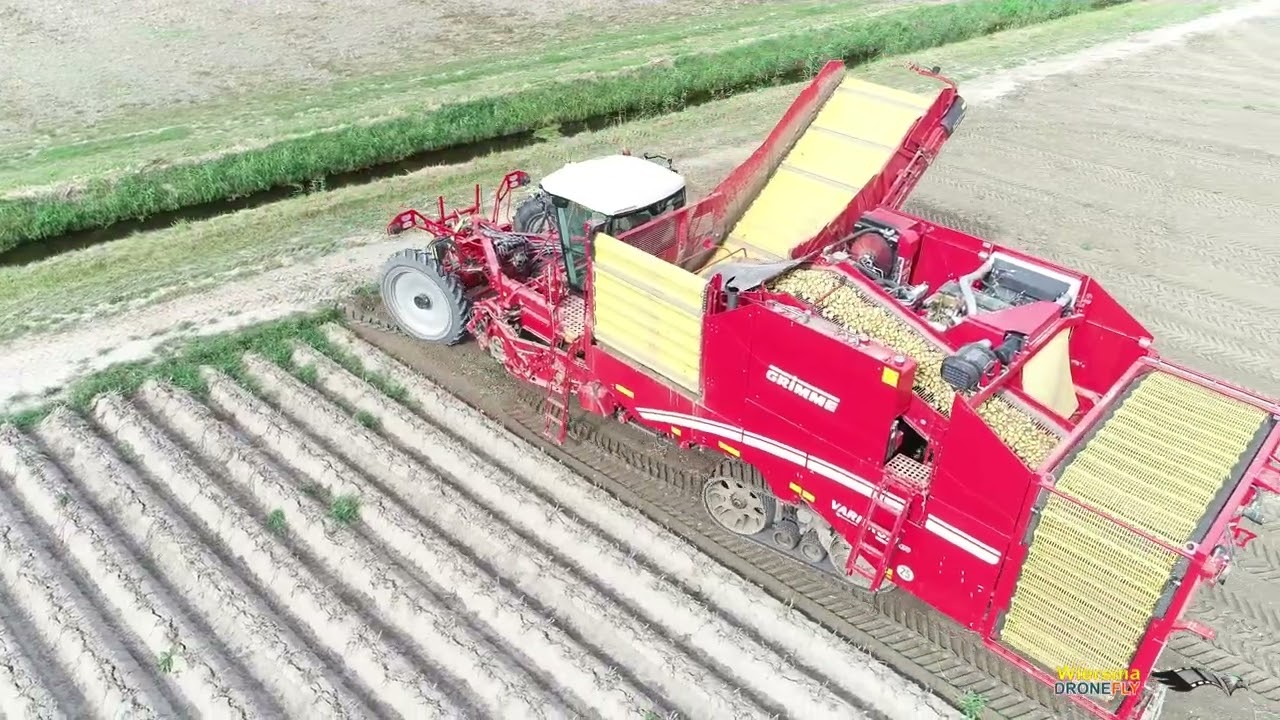 Potato harvesting with 4-row GRIMME Varitron 470 Aardappelrooien met GRIMME Varitron 470