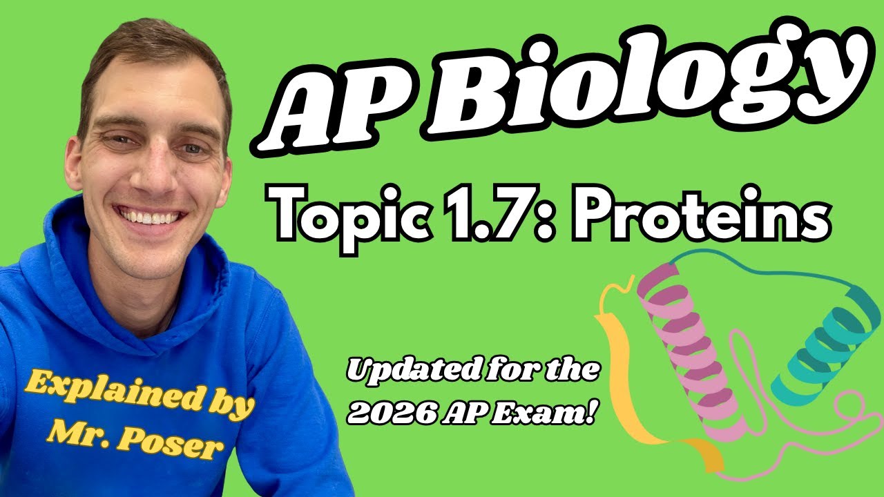 1.7 Proteins - AP Biology (Updated 2025-2026)