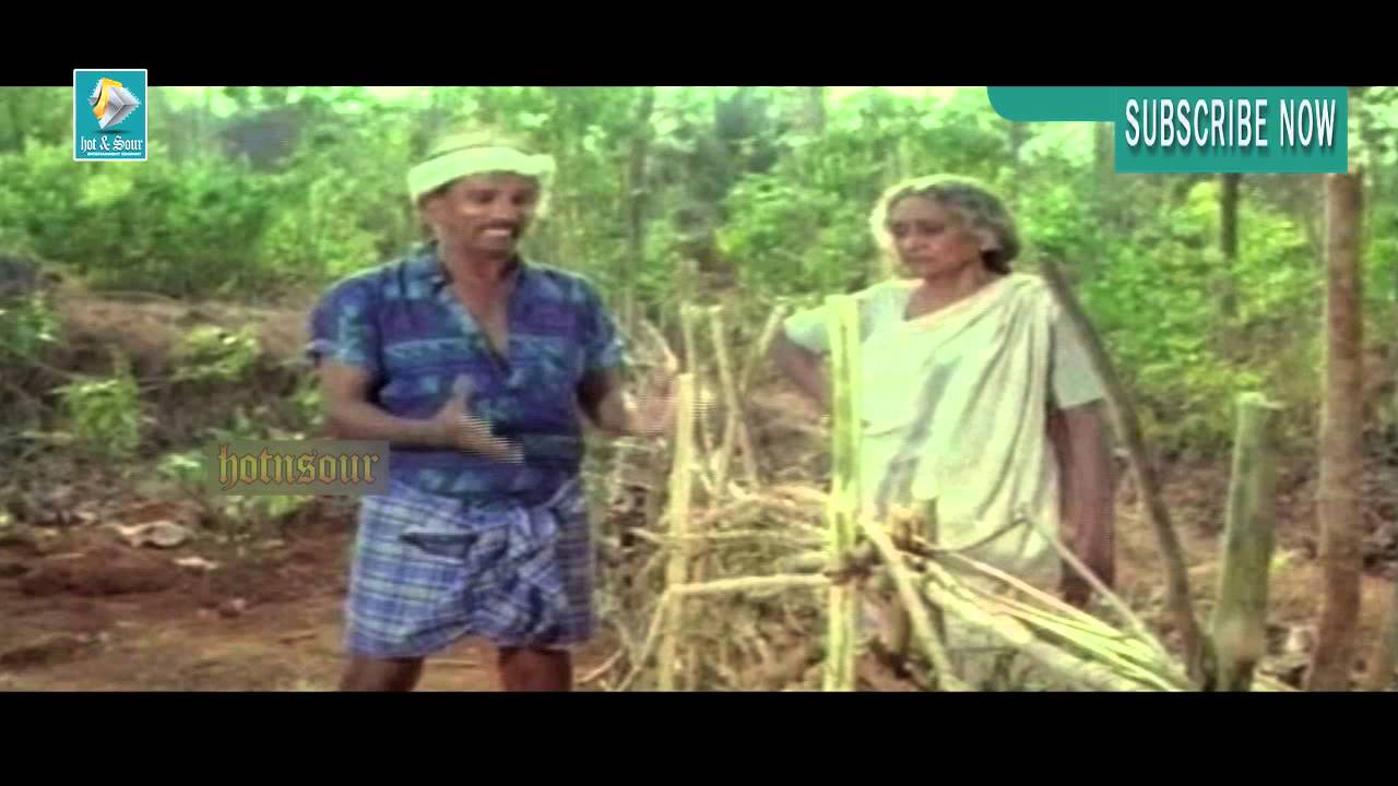 ഞാനിവിടെ കുറുന്തോട്ടി പറിക്കാൻ കേറീതാ | Chakoram Movie Scene | Mamukoya comedy scene