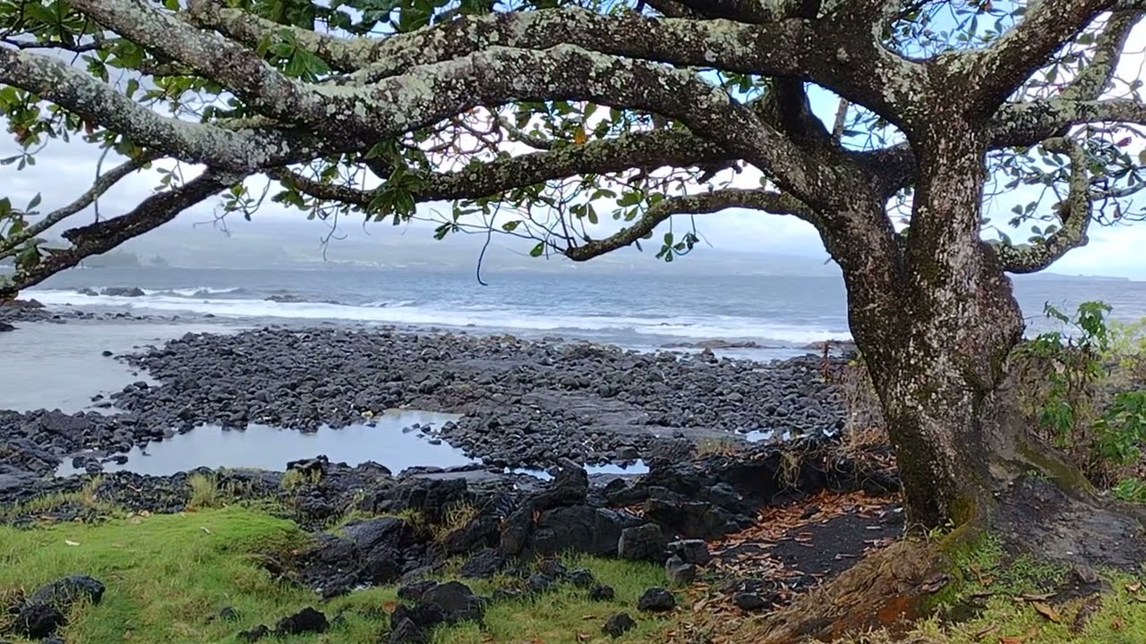 Richardson Beach Park, Hilo, Hawaii