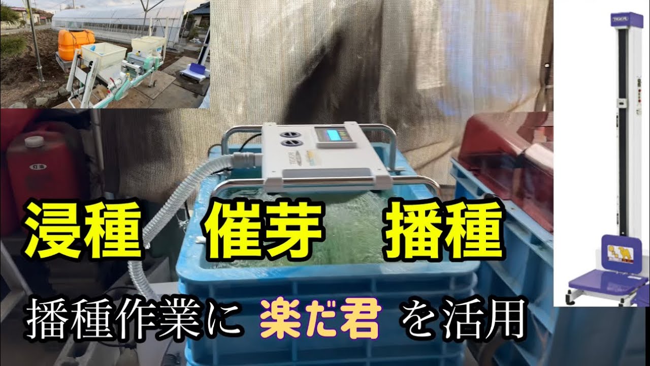 浸種　催芽　播種　播種作業に楽だ君を活用