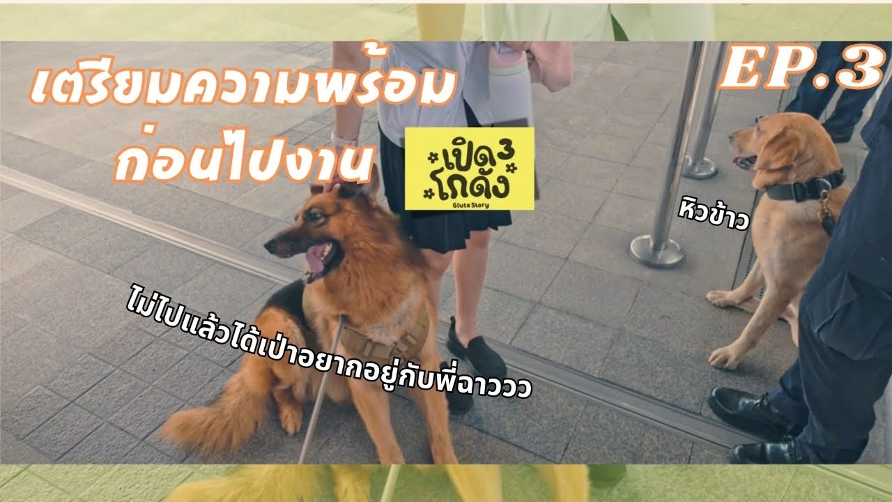 VLOG | เตรียมความพร้อมให้ซาโบ้ก่อนไปงานเปิดโกดัง 3 | EP.3