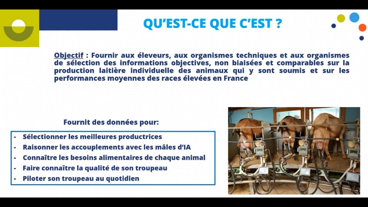 Controle de performance caprin par  Eilips