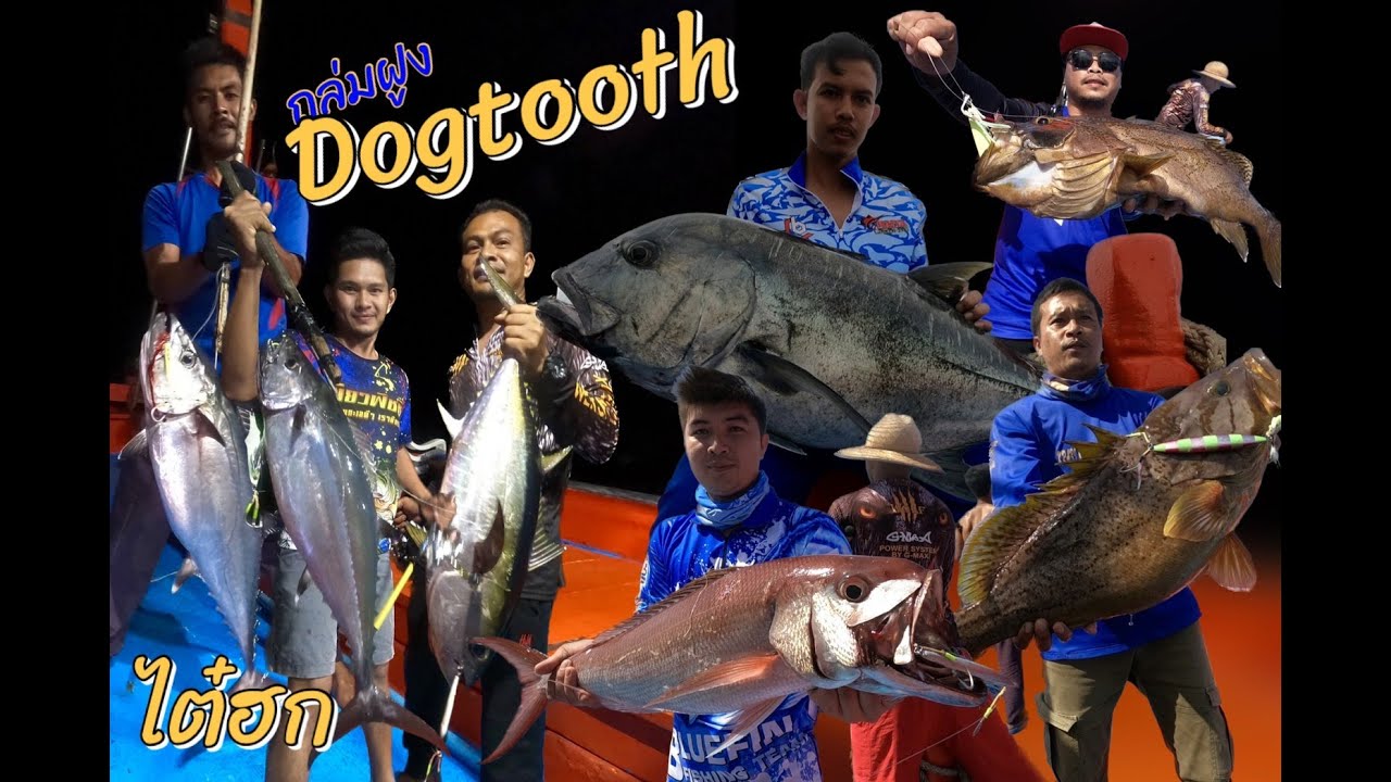 ถล่มฝูง Dogtooth สิมิรัน