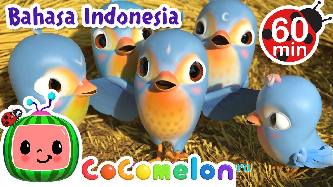 🐥Lima Burung Kecil Silaturahmi🐥 | CoComelon Bahasa Indonesia - Lagu Anak Anak | Nursery Rhymes
