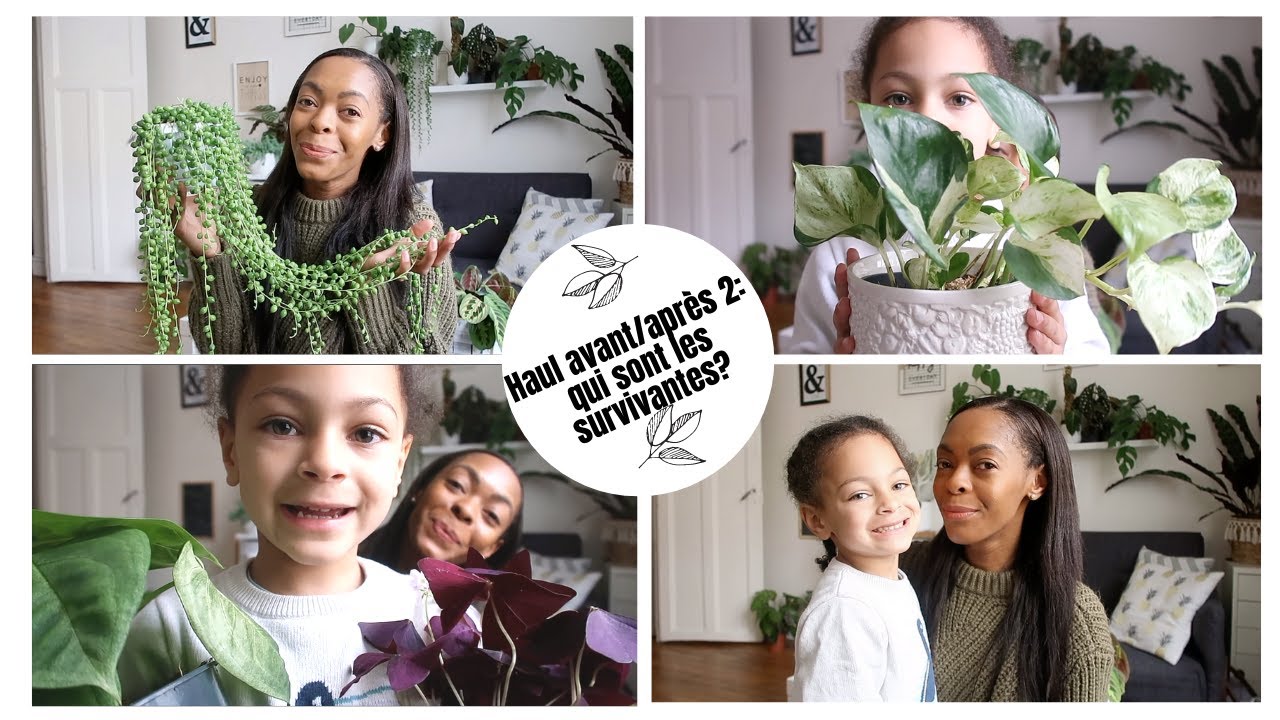 Haul avant/après 2: que sont devenues mes plantes rares?