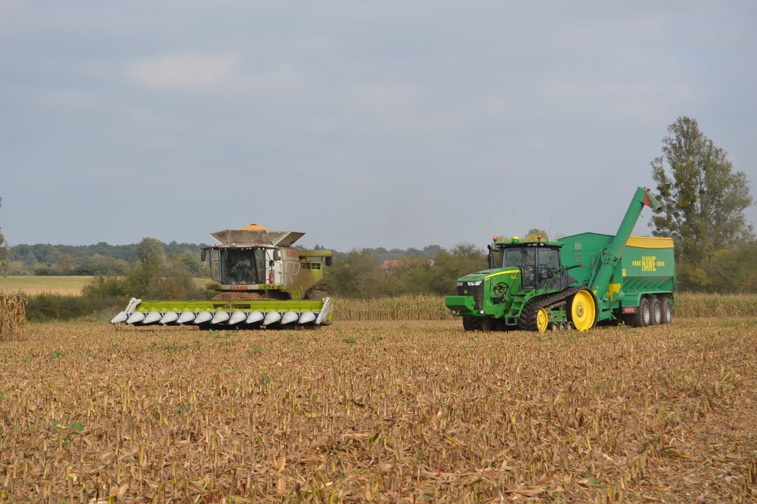 XXL Harvest / Leledy Harvest / Claas Lexion 770TT & John Deere 8370RT