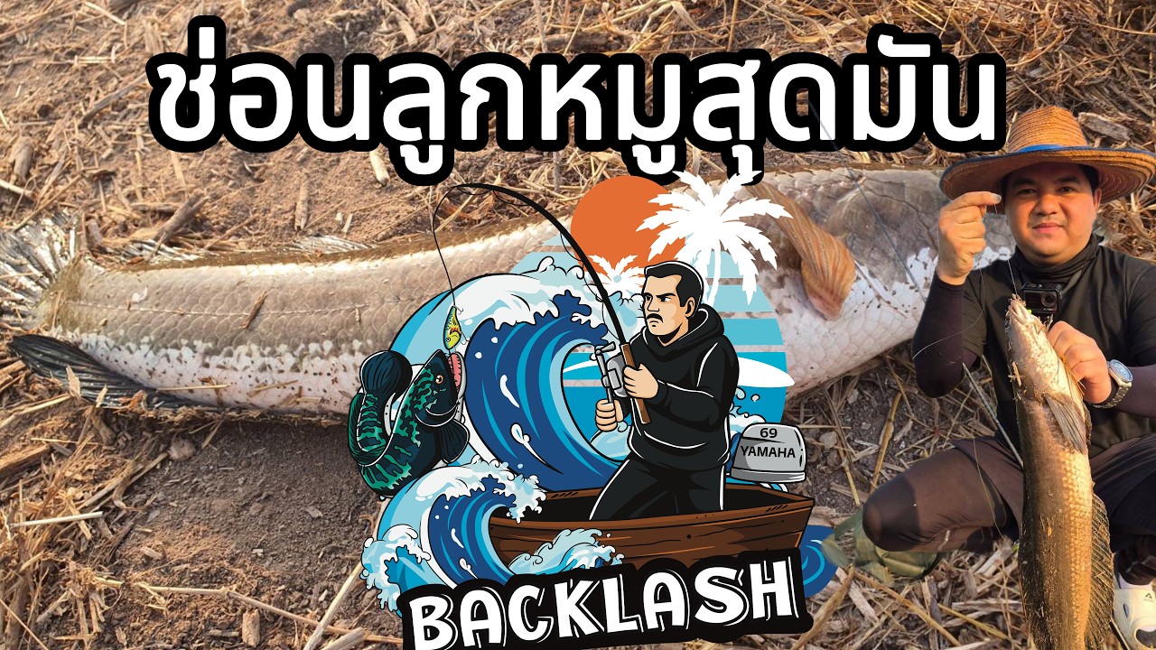 ทริปปลาช่อนยักษ์ วังน้อย แต่ปลาไม่น้อยเลย!!!โครตมันส์ BACKLASHนักตกปลา