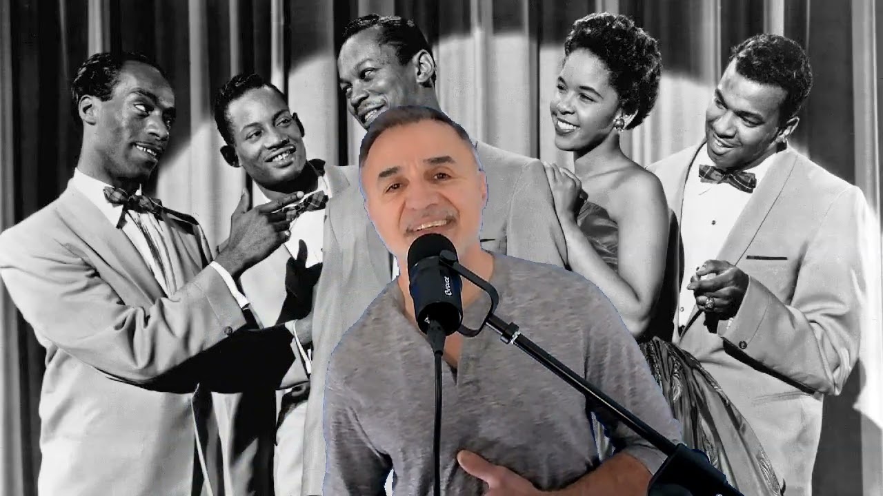 The Platters   Twilight Time