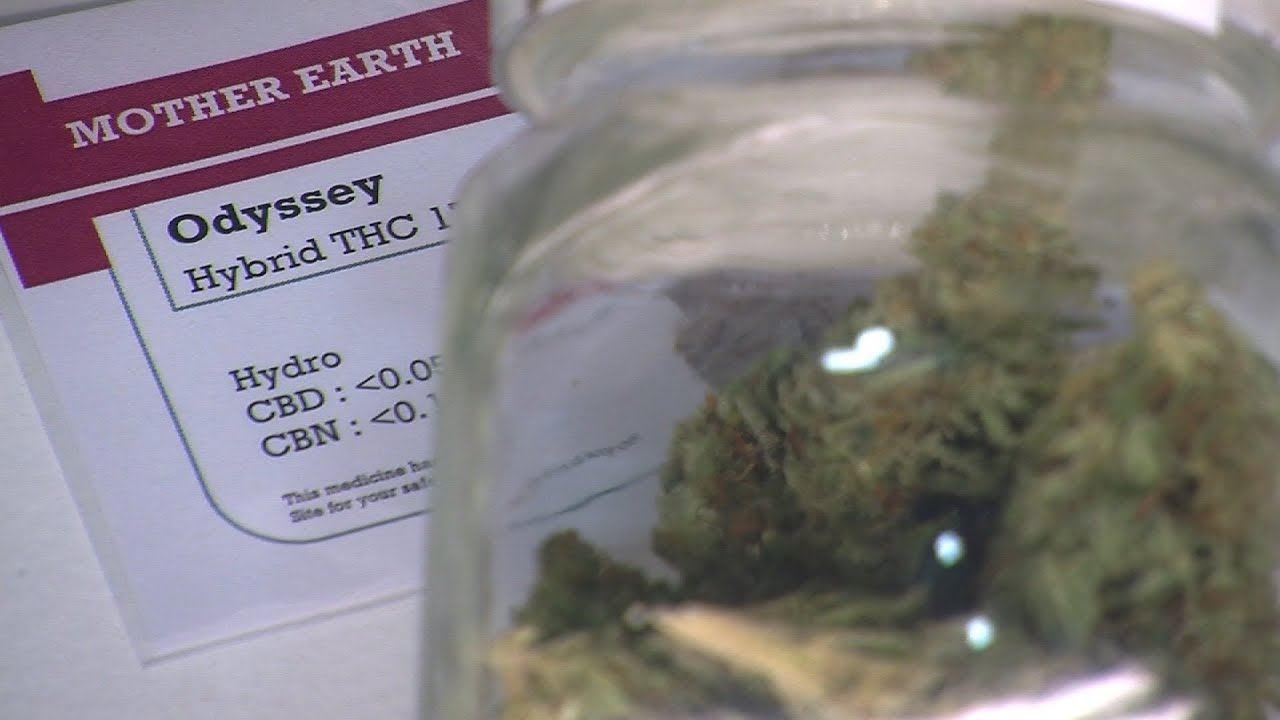 Future of Mother Earth: Medical Marijuana Cooperative