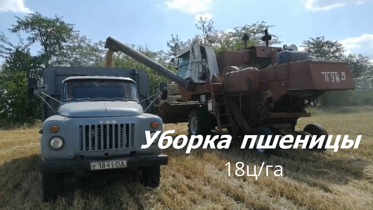 Уборка Пшеницы 2020! СК-5 Нива.Урожайность 18ц/га