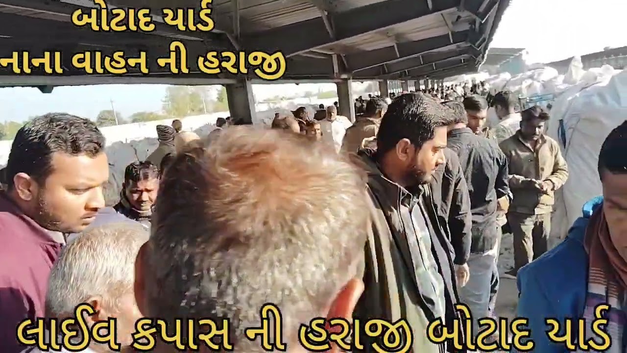 🟢 Botad Kapas na bhav|20-01-2026|બોટાદ કપાસના ભાવ2025| Information about cotton crop pric ‎|