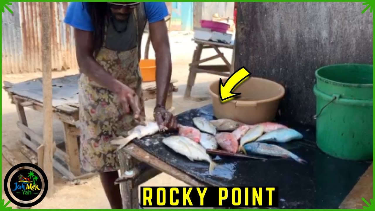 Buying FISH in Rocky Point, Clarendon, Jamaica