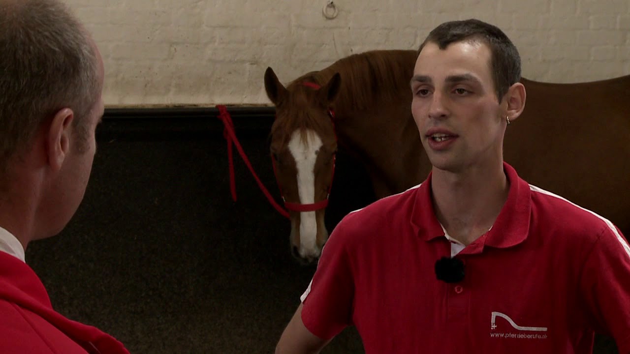 08 gesundheitszustand therapiemassnahmen