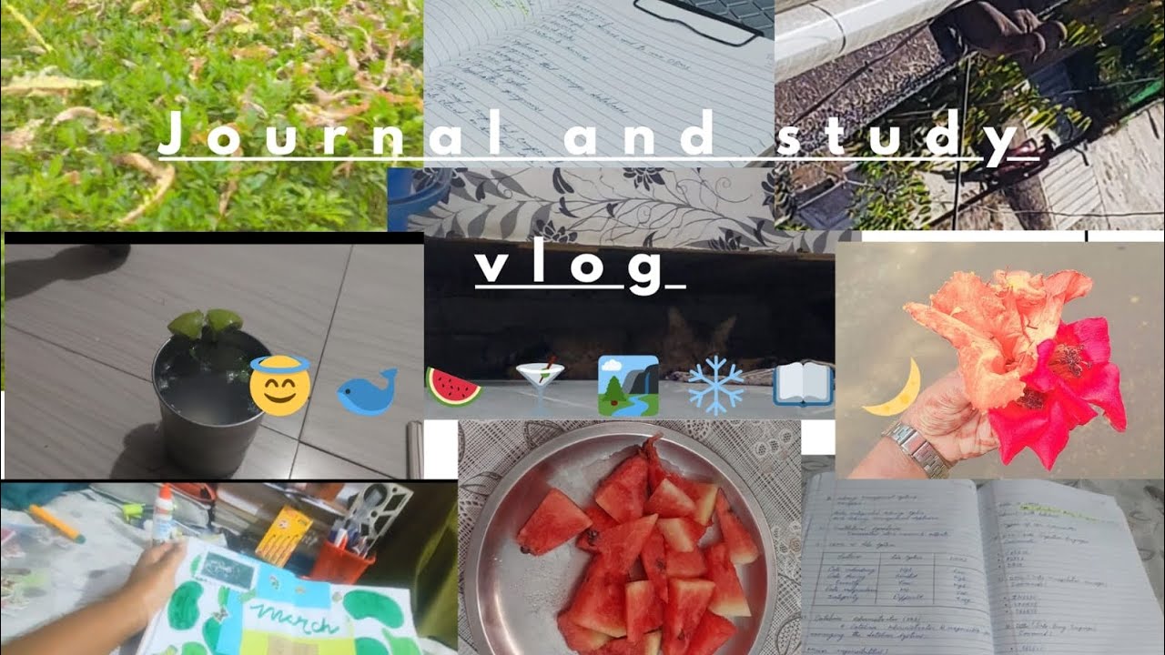 Journal with me and study vlog😇🍉🍸📖🌙 #aesthetic #chill #nature #studywithmeandjournal