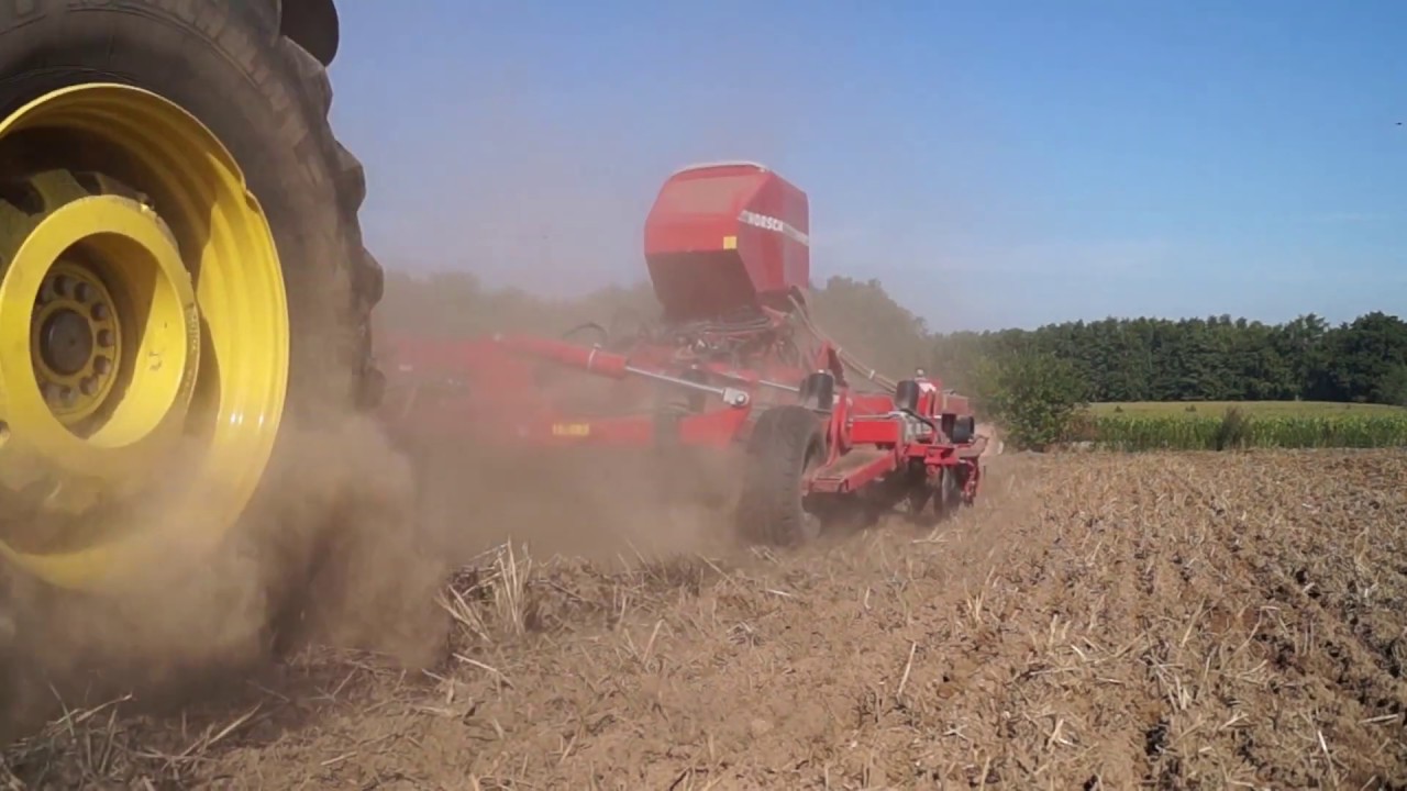 Horsch Tiger 4AS mit Pronto TD Rapsaussaat 2019 SR-Trade Ankum