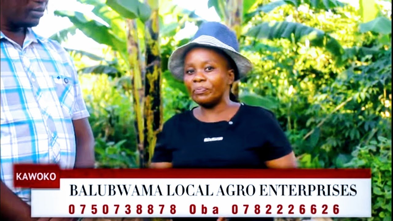 Obulamu Bwo mu lunzi Ewaka