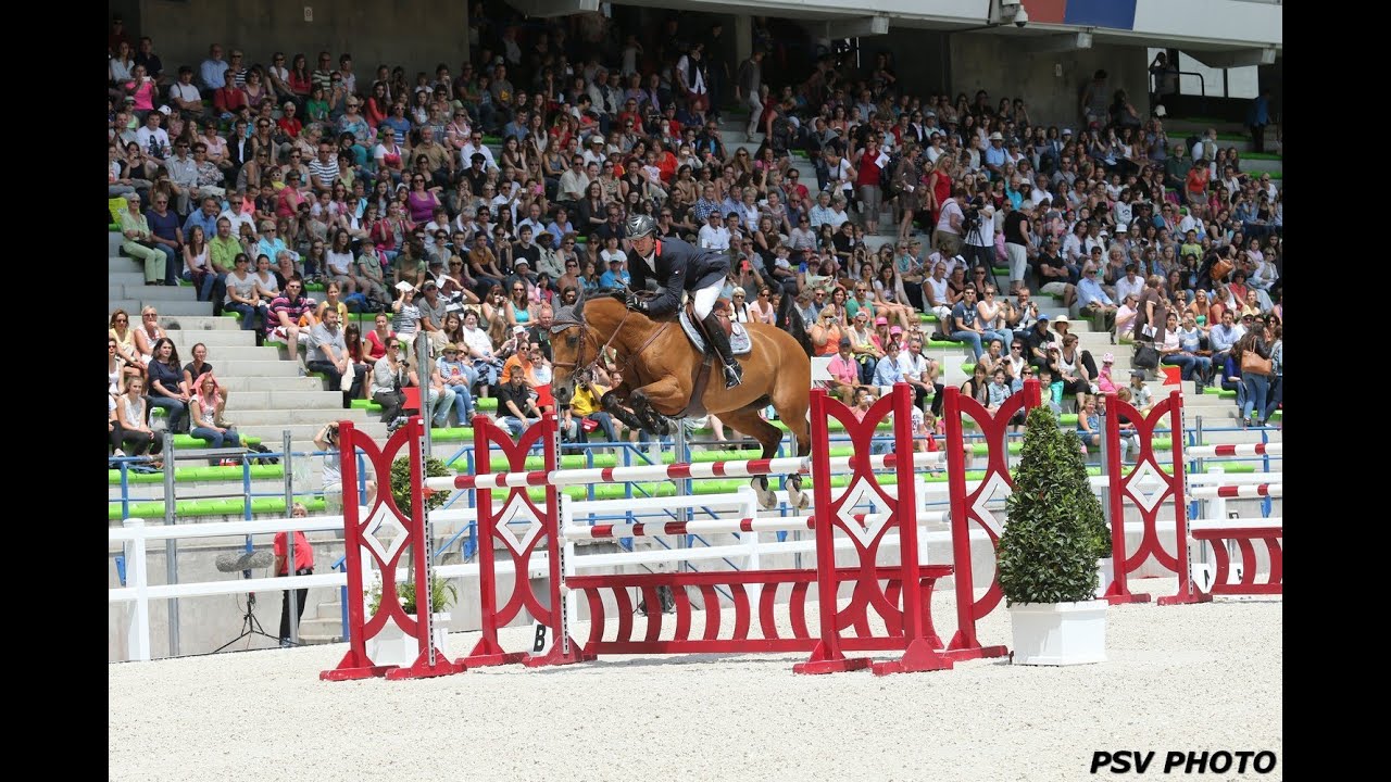 JEM FEI Alltech 2014  - Epreuves Préparatoires de Saut d'Obstacles