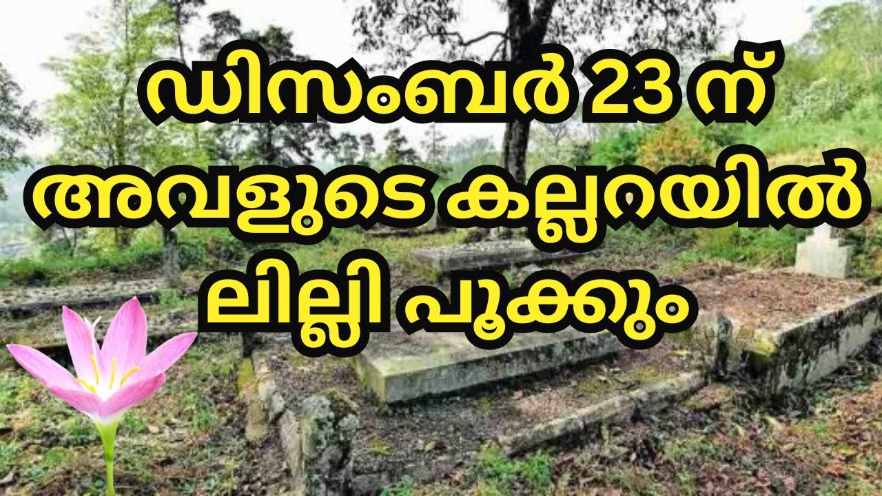 December 23 ന് അവളുടെ കല്ലറയിൽ ലില്ലി പൂക്കും...❤️||CSI Church||Munnar