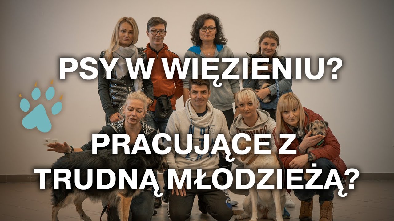 PSY W WIĘZIENIU? PRACUJĄCE Z TRUDNĄ MŁODZIEŻĄ?