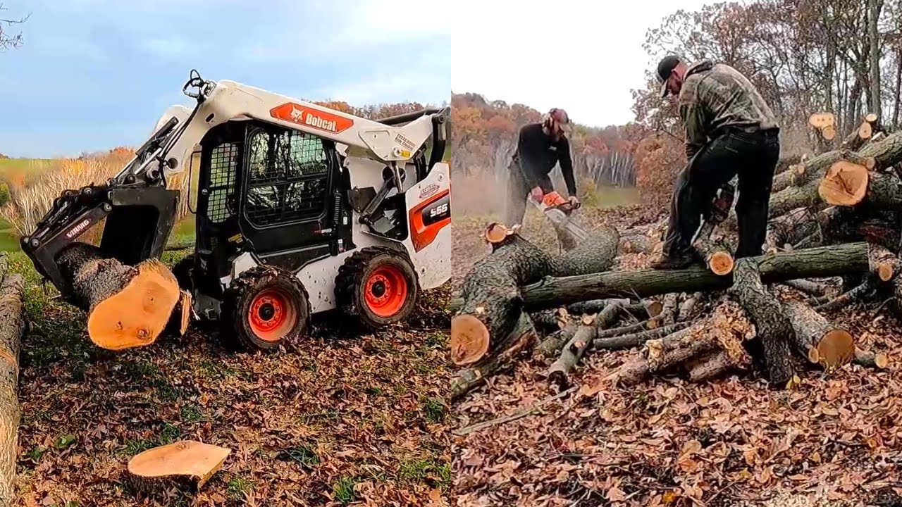 Making Firewood and Cutting Premium Saw Logs!